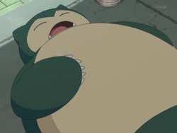 Snorlax doing his favourite thing.